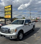 Image for 2011 Ford F-150 XLT ID: 7304131
