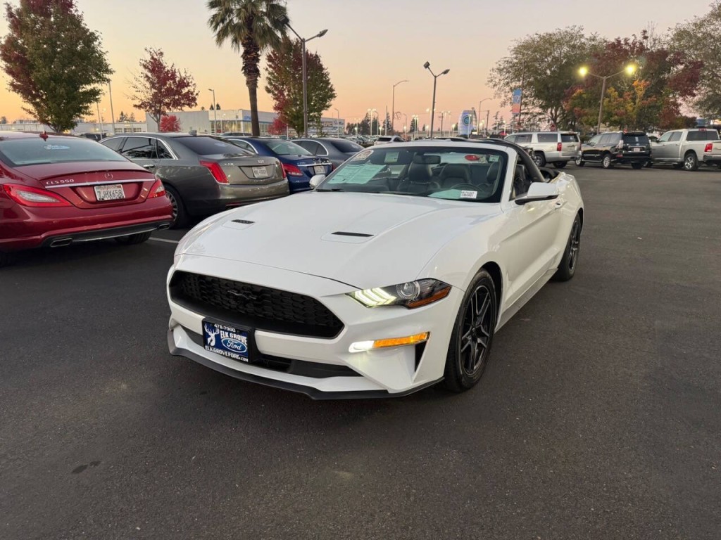 2019 Ford Mustang Image 2