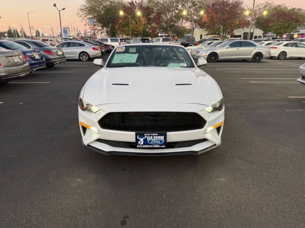 2019 Ford Mustang Image 3