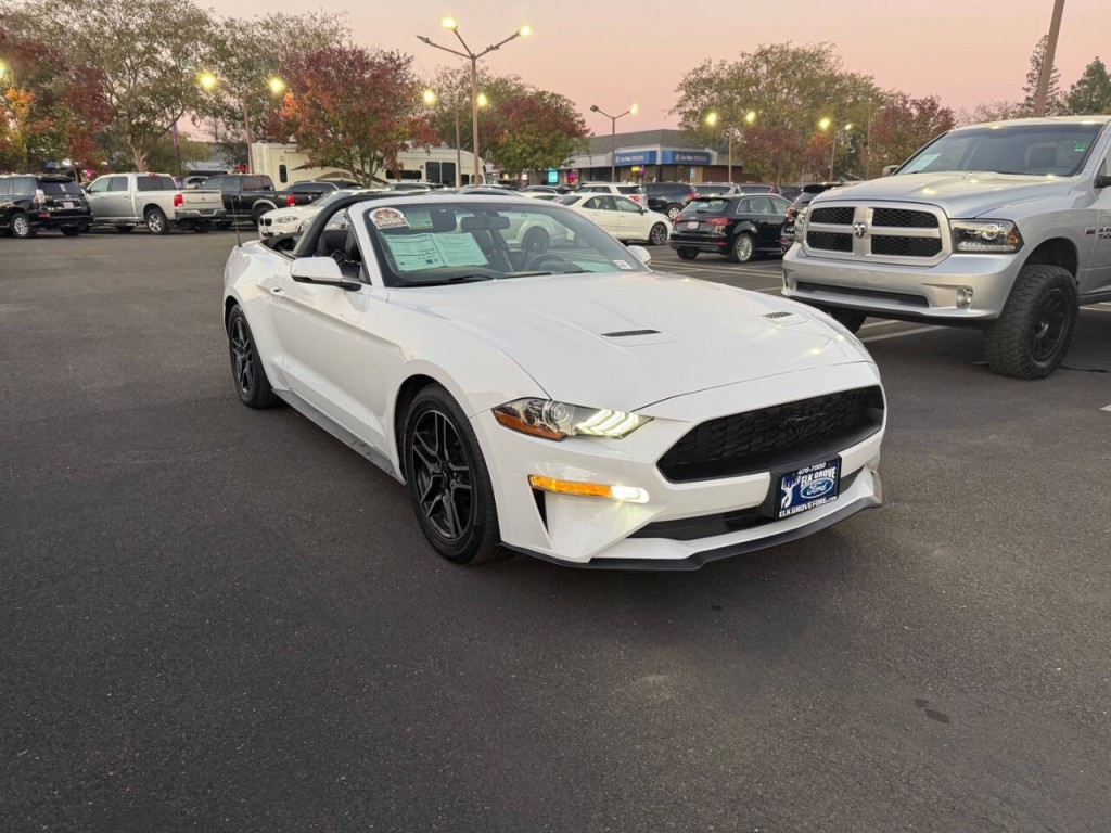 2019 Ford Mustang Image 4