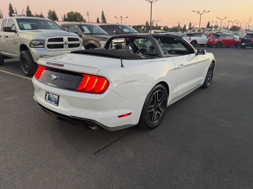 2019 Ford Mustang Image 6