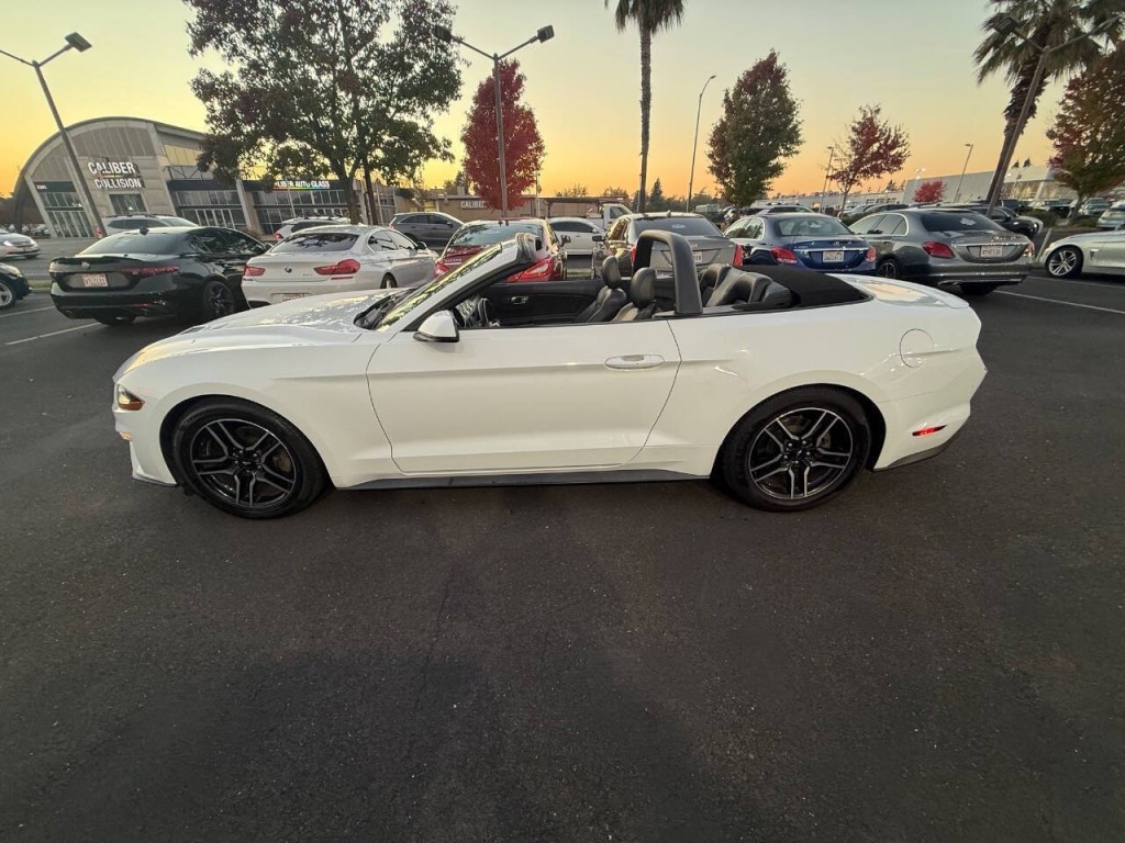 2019 Ford Mustang Image 9