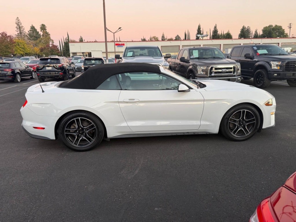 2019 Ford Mustang Image 10