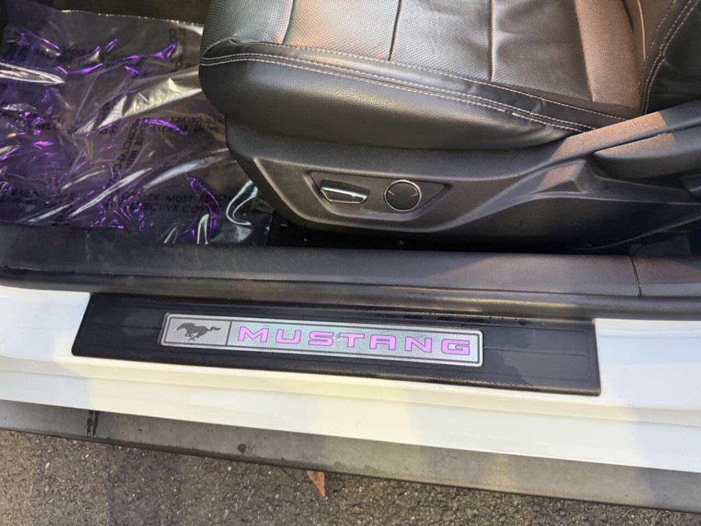 2019 Ford Mustang Image 22