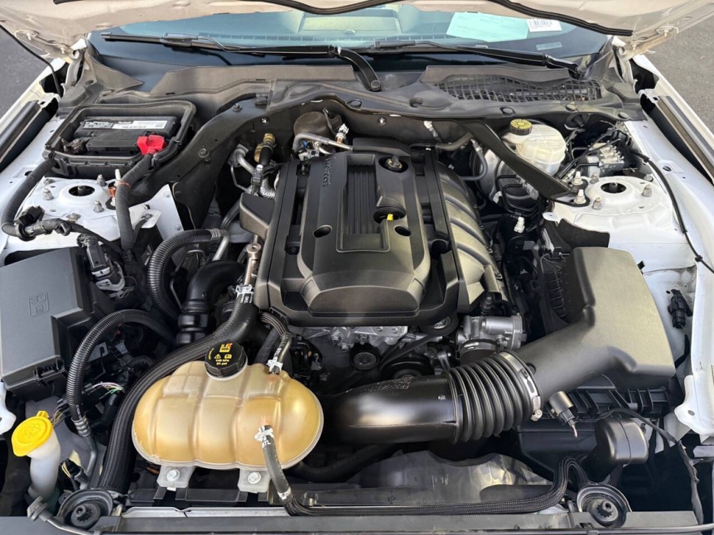 2019 Ford Mustang Image 34