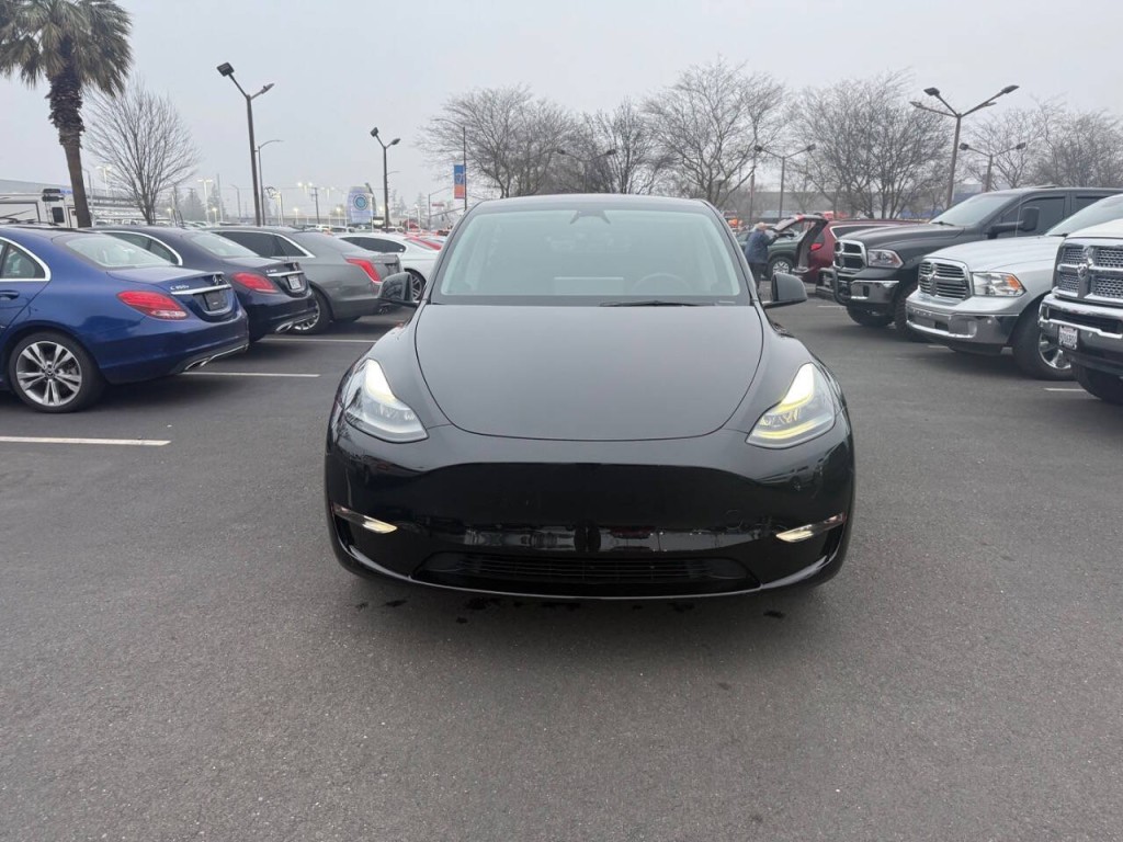 2024 Tesla Model Y Image 2