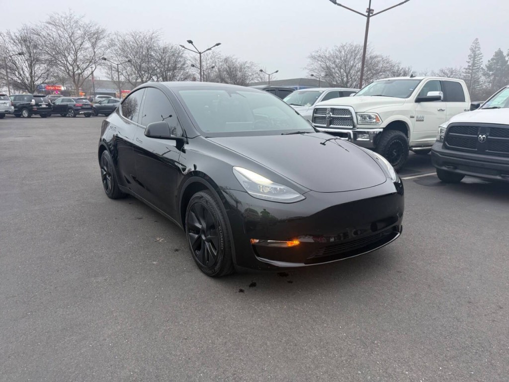 2024 Tesla Model Y Image 3