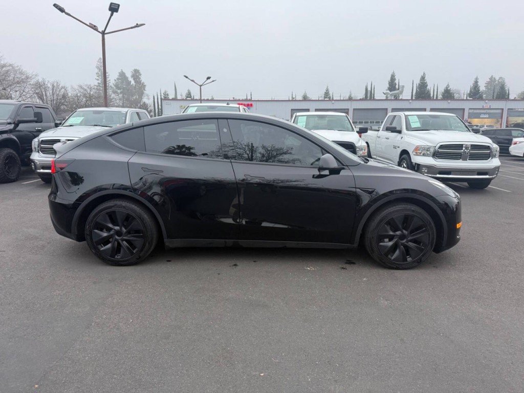 2024 Tesla Model Y Image 4
