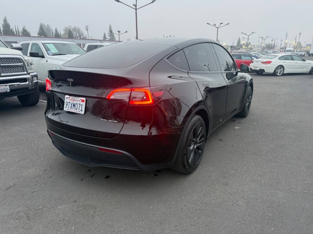 2024 Tesla Model Y Image 5