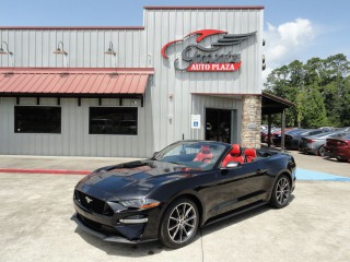 Image for 2019 Ford Mustang Premium ID: 6676424