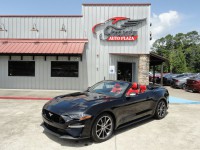 Image for 2019 Ford Mustang Premium ID: 6676424
