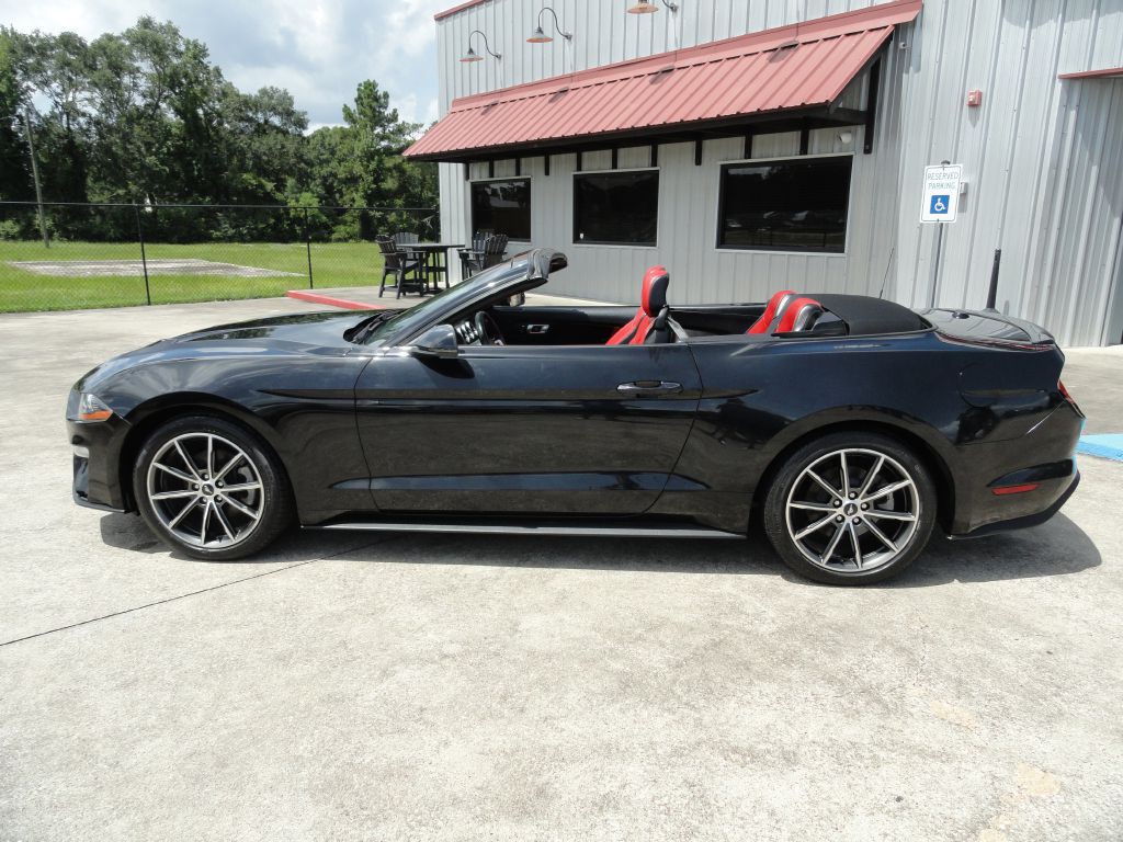 2019 Ford Mustang Image 4