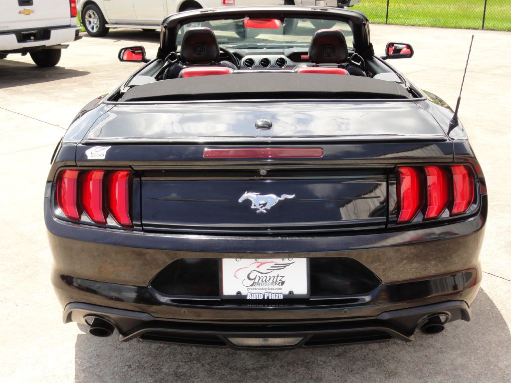 2019 Ford Mustang Image 5