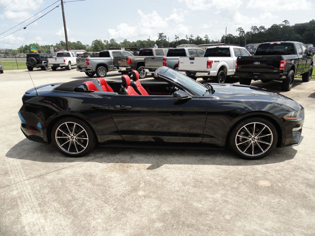 2019 Ford Mustang Image 6