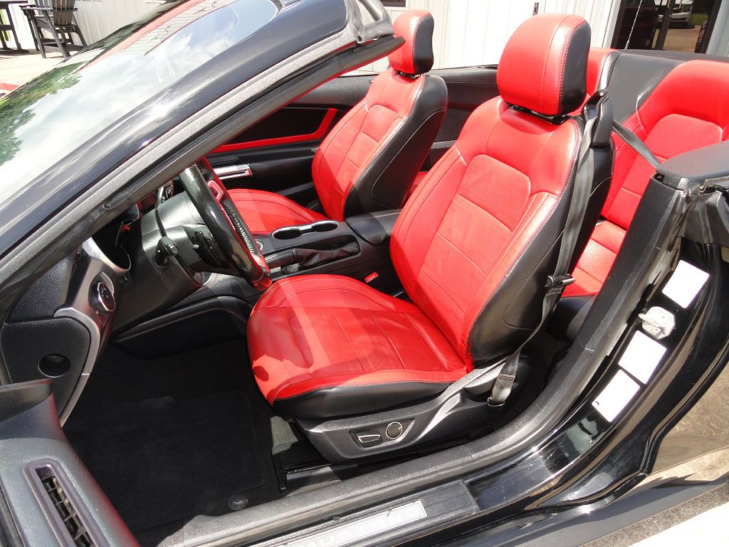 2019 Ford Mustang Image 8