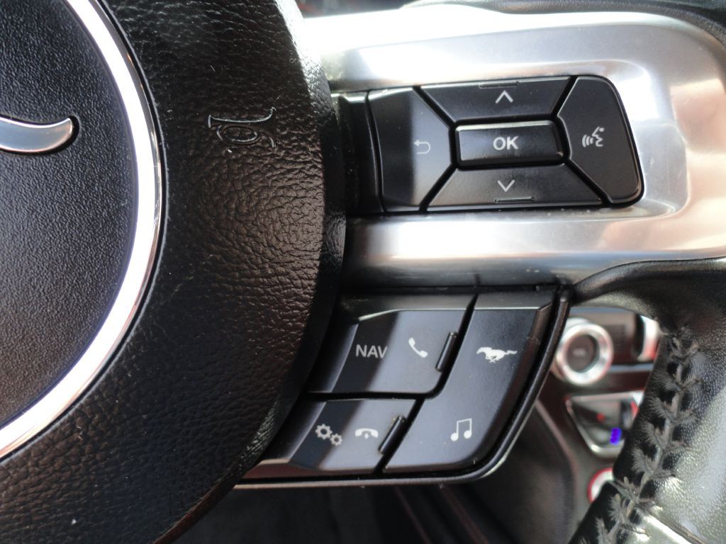 2019 Ford Mustang Image 16