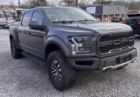 Image for 2020 Ford F-150 Raptor ID: 7193723