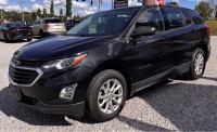 Image for 2019 Chevrolet Equinox LS ID: 7465669