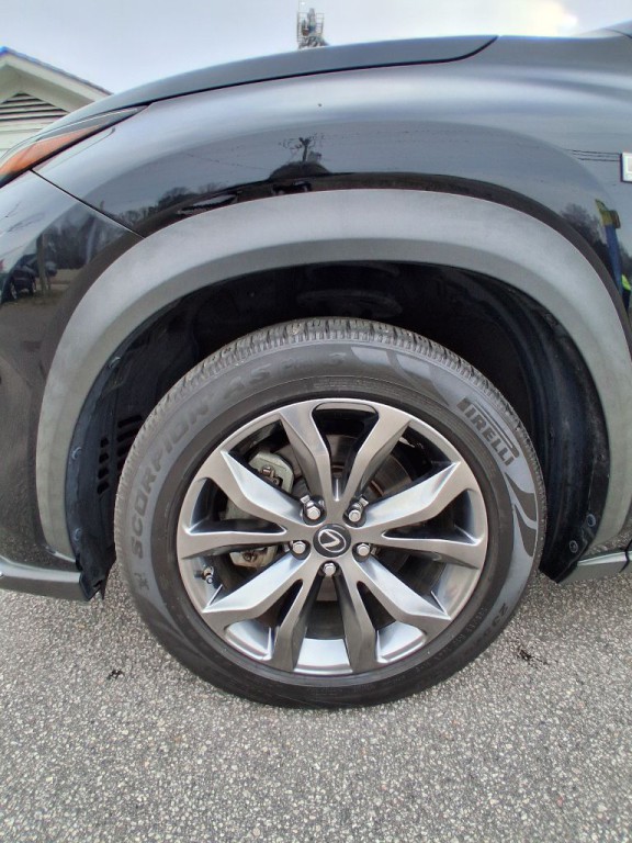 2021 Lexus NX 300 Image 6