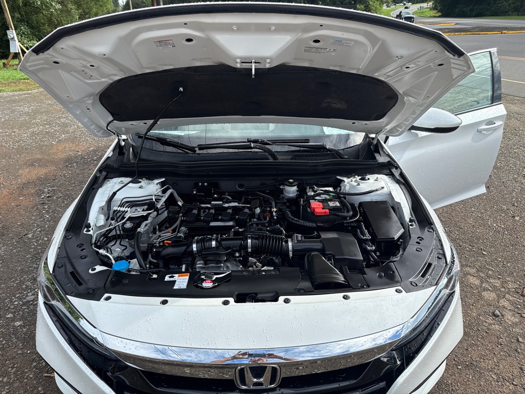 2019 Honda Accord Image 14