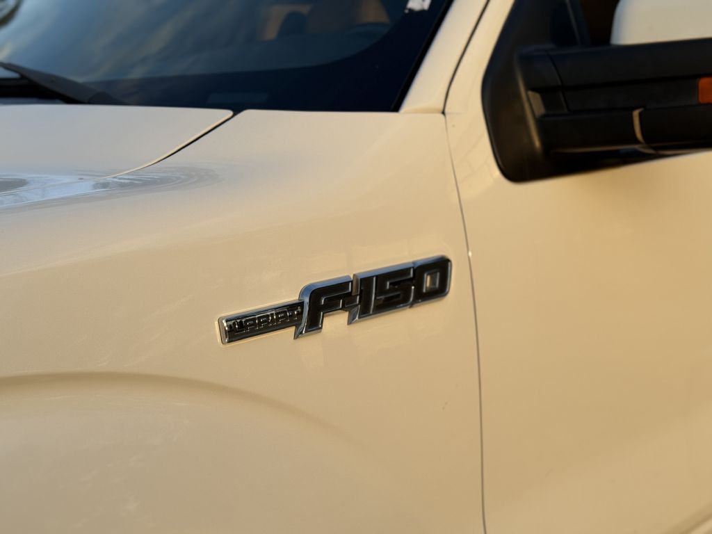 2010 Ford F-150 Image 16