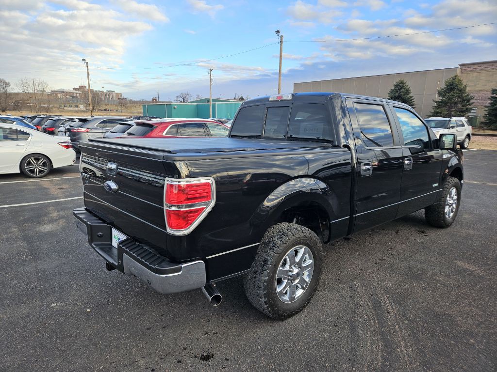 2014 Ford F-150 Image 4