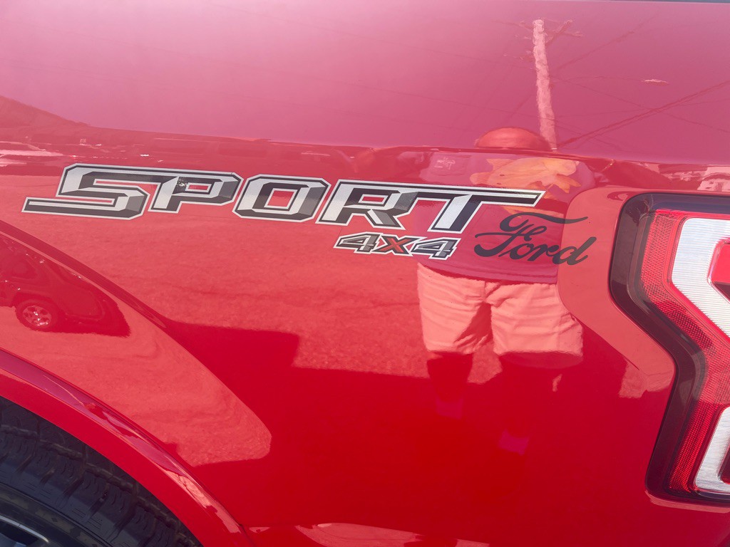2020 Ford F-150 Image 4