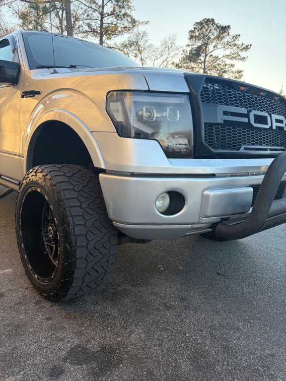 2010 Ford F-150 Image 4