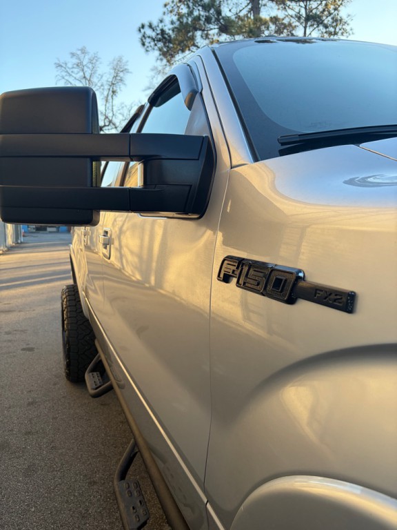 2010 Ford F-150 Image 6