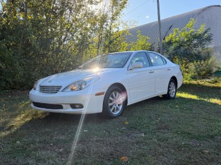 Image for 2003 Lexus ES 300 ID: 6866547