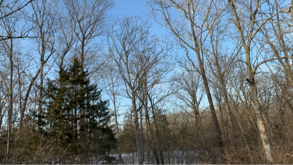 2011 Toyota Rav4 Image 23