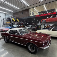Image for 1967 Ford Mustang GT ID: 7149303