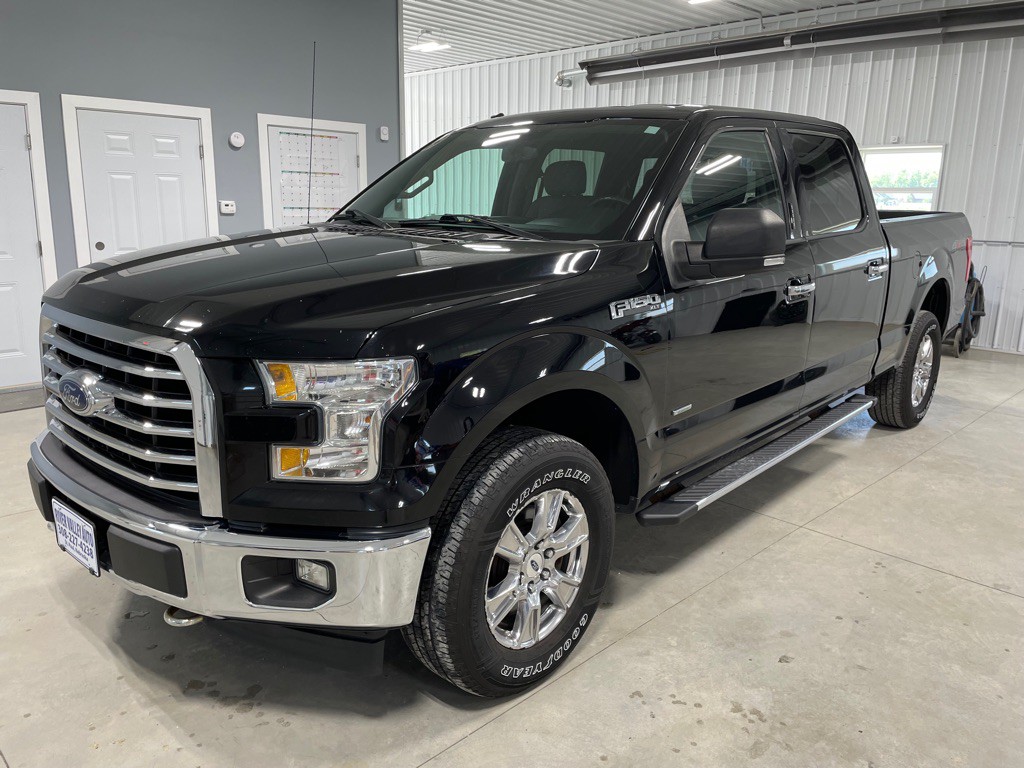 2017 Ford F-150 Image 3