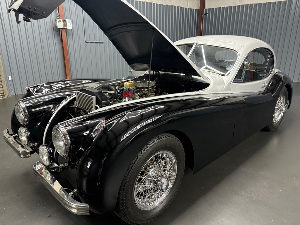 1951 Jaguar XK-Series Image 10