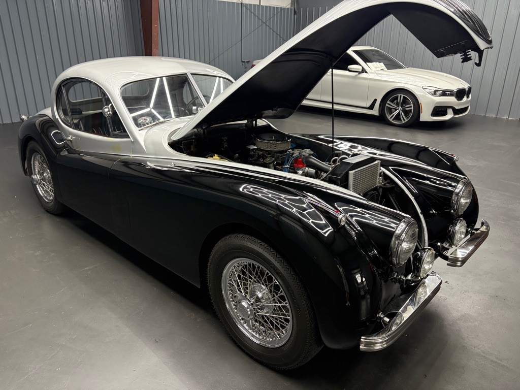 1951 Jaguar XK-Series Image 11