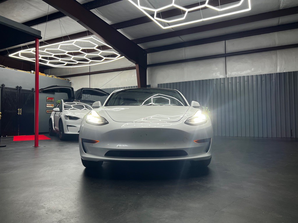 2019 Tesla Model 3 Image 3