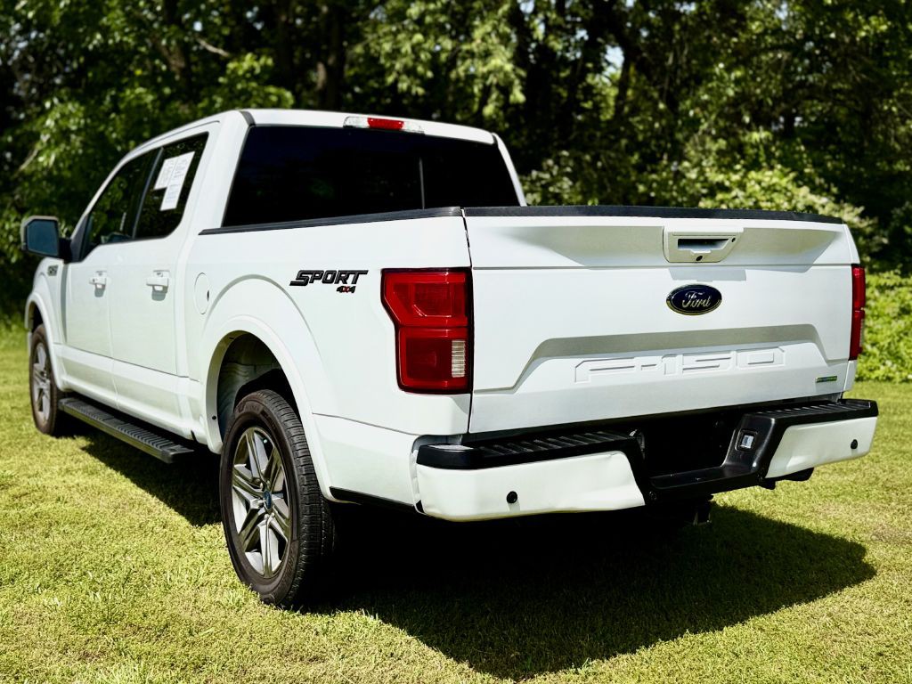 2020 Ford F-150 Image 3