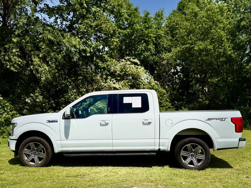 2020 Ford F-150 Image 5