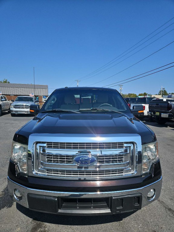 2013 Ford F-150 Image 3