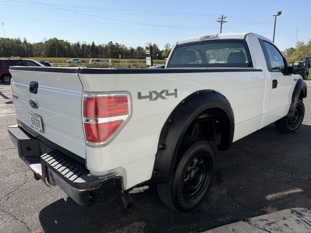 2010 Ford F-150 Image 4