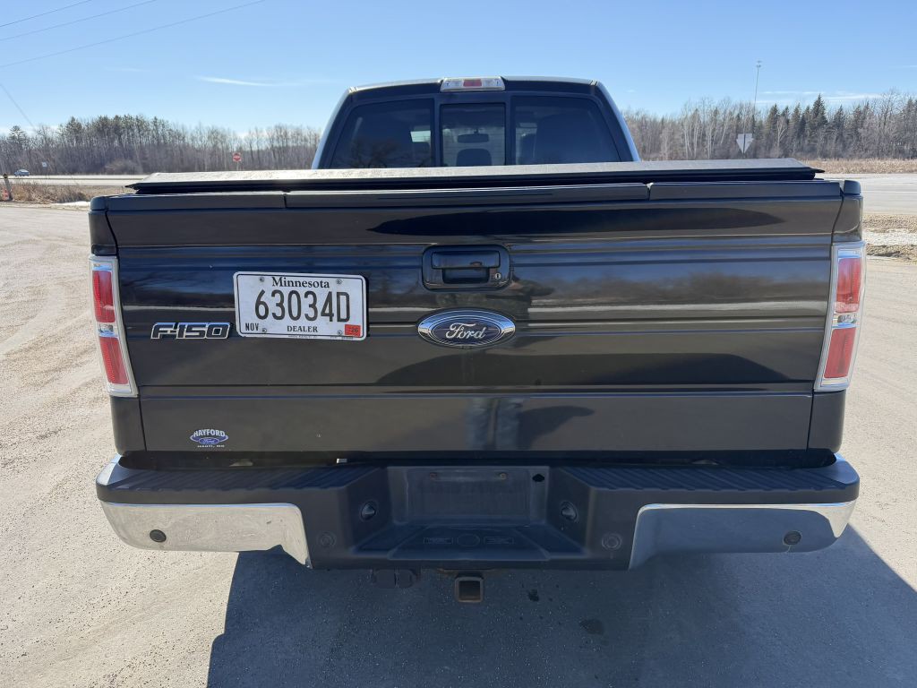 2014 Ford F-150 Image 4