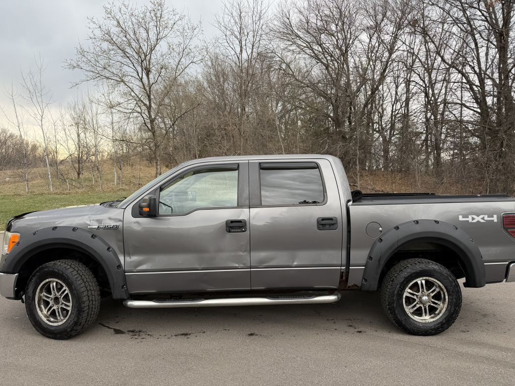 2010 Ford F-150 Image 2