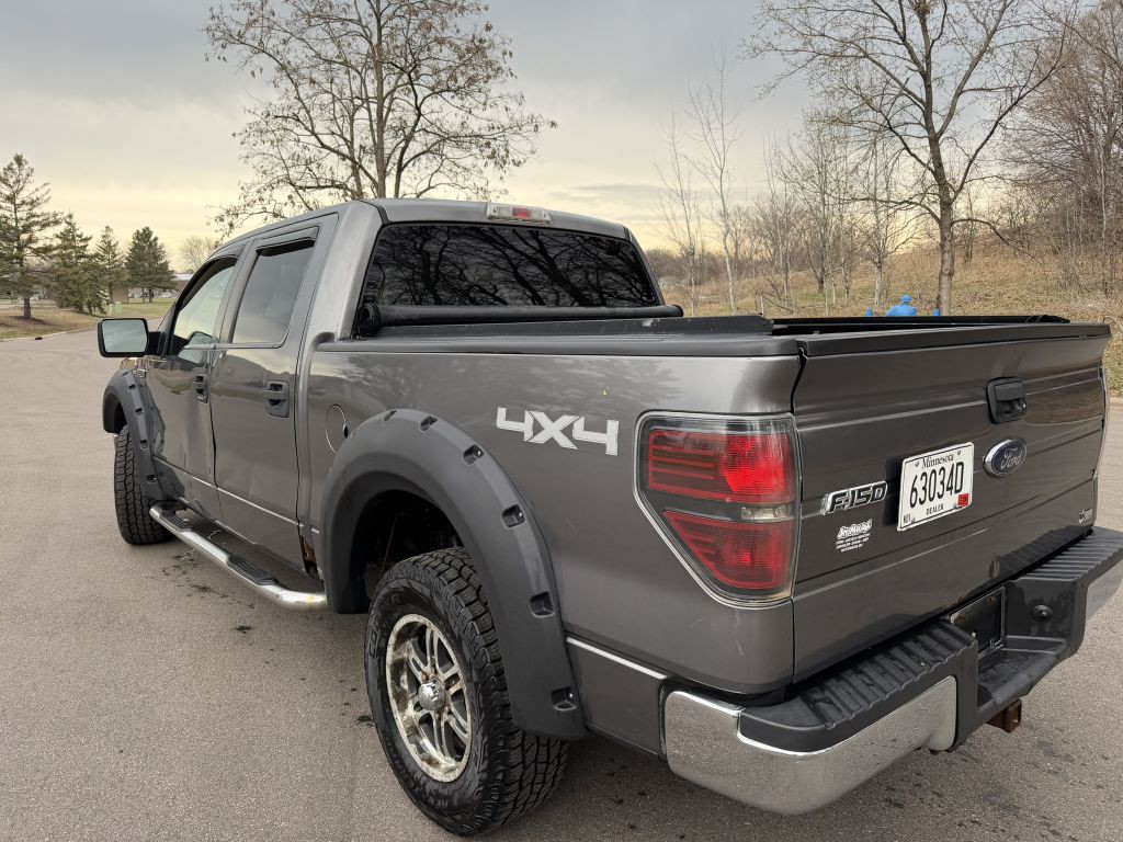 2010 Ford F-150 Image 3
