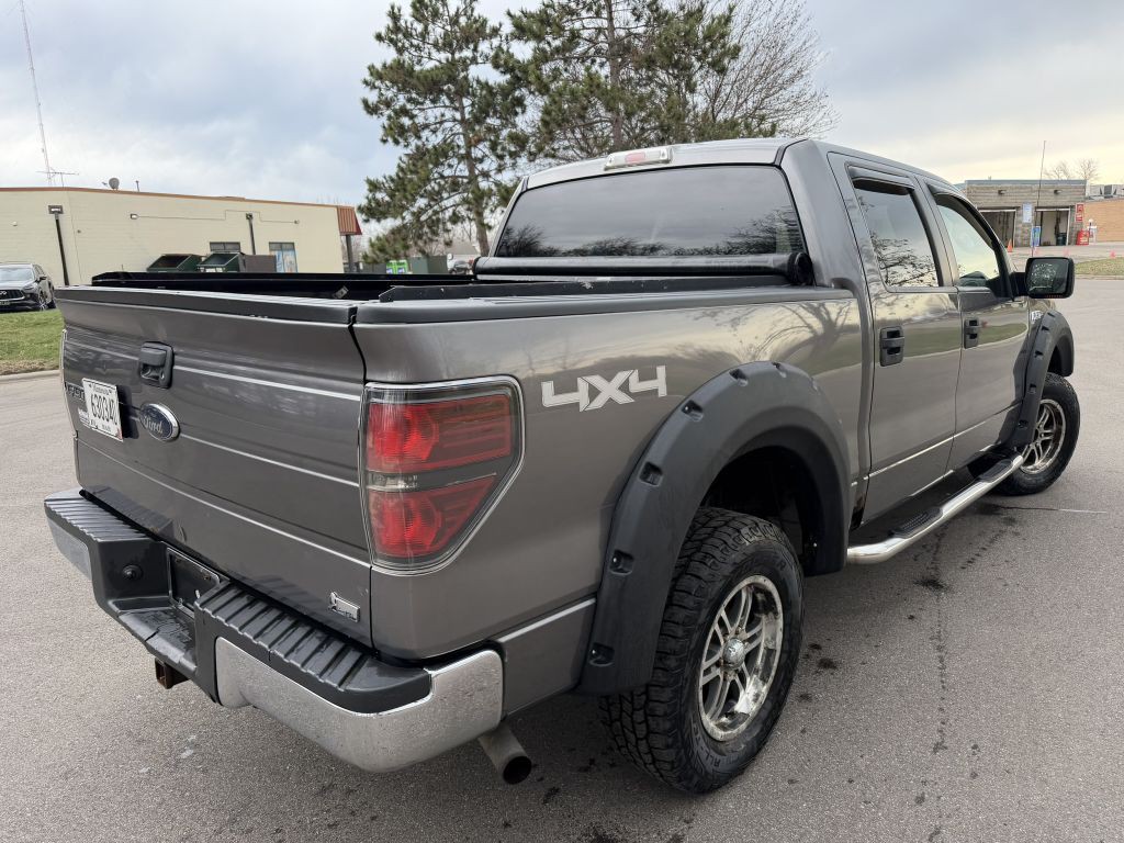 2010 Ford F-150 Image 5