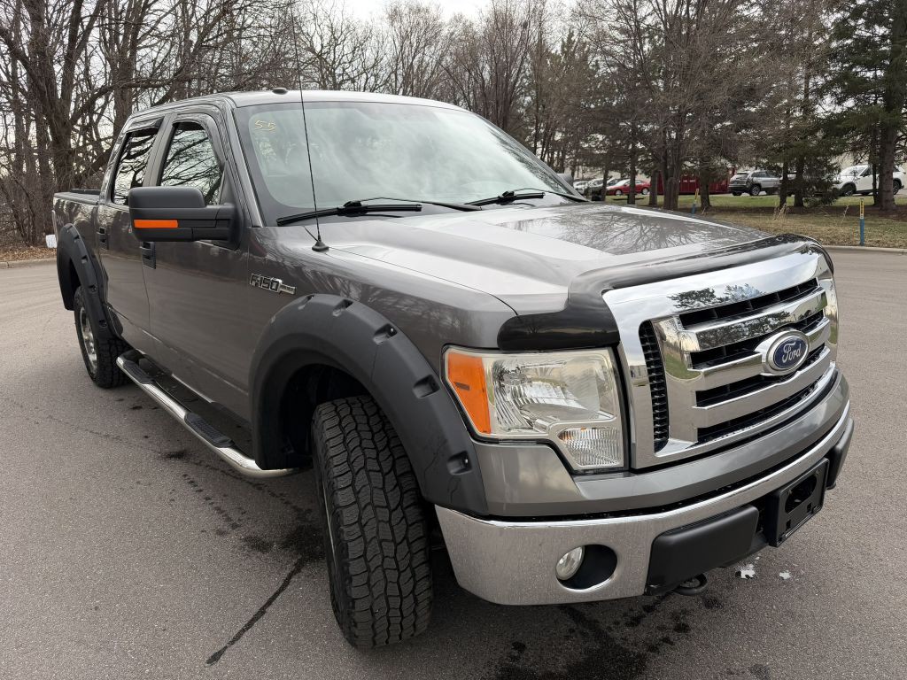 2010 Ford F-150 Image 7