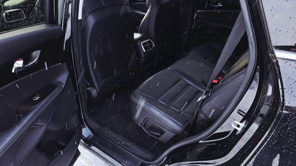 2017 Kia Sorento Image 10