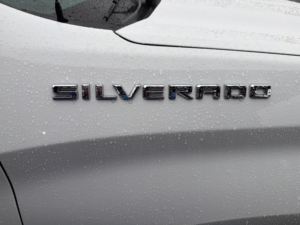 2021 Chevrolet Silverado 1500 Image 6