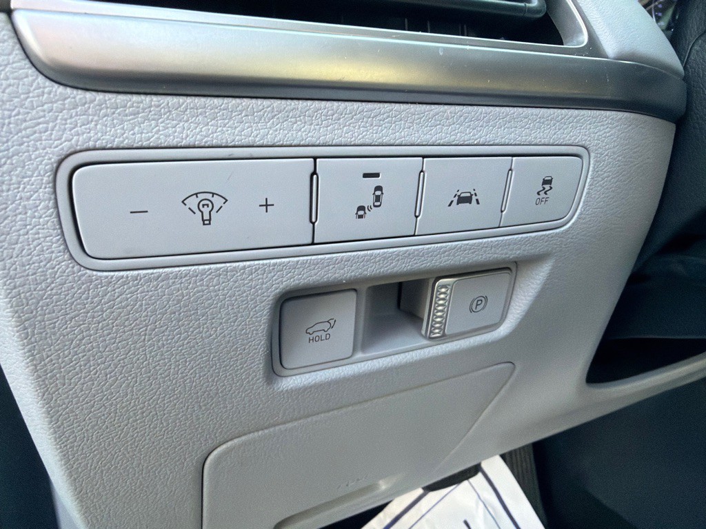 2020 Hyundai Palisade Image 19