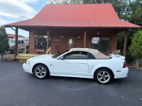 Image for 2001 Ford Mustang GT ID: 7574063