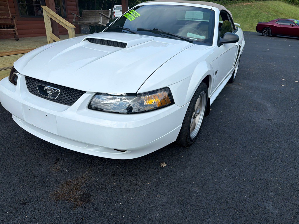 2001 Ford Mustang Image 2